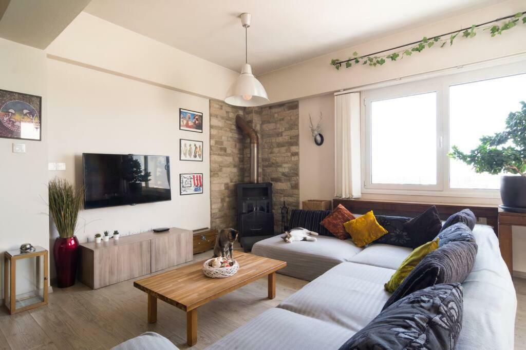 Appartement Vas' Penthouse à Nicosie Extérieur photo