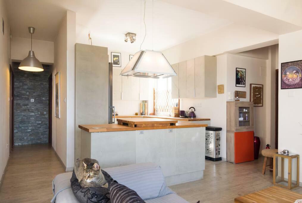 Appartement Vas' Penthouse à Nicosie Extérieur photo