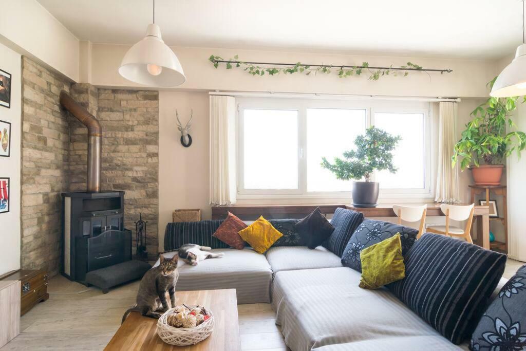 Appartement Vas' Penthouse à Nicosie Extérieur photo