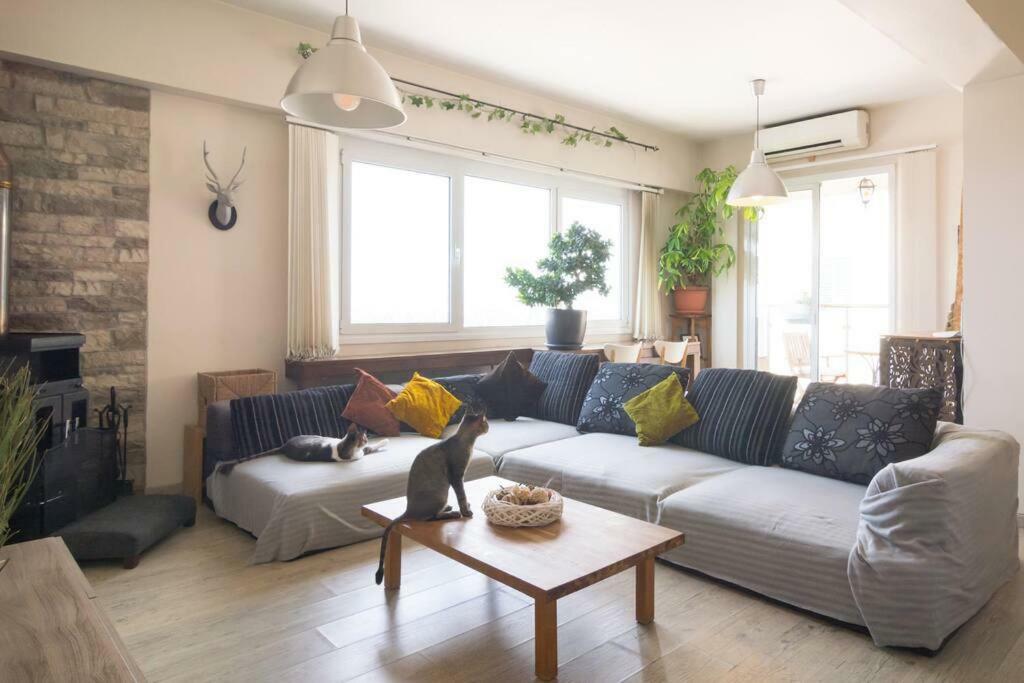 Appartement Vas' Penthouse à Nicosie Extérieur photo
