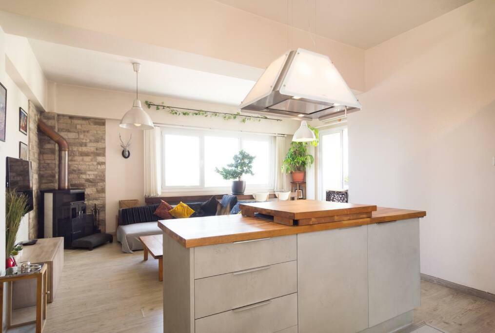 Appartement Vas' Penthouse à Nicosie Extérieur photo